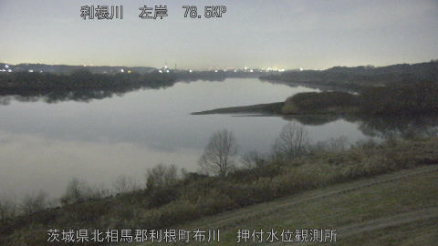 tonos2026020504_image