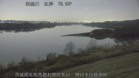 tonos2026020505_image