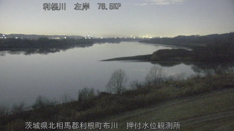 tonos2026020506_image