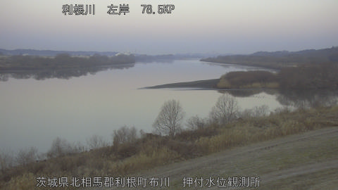 tonos2026020507_image