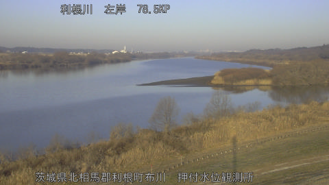 tonos2026020508_image