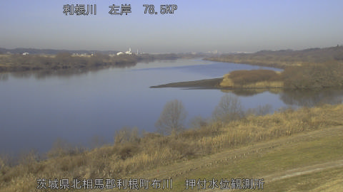 tonos2026020509_image