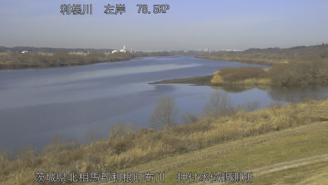 tonos2026020510_image