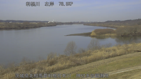 tonos2026020511_image