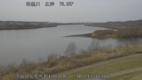 tonos2026020513_image