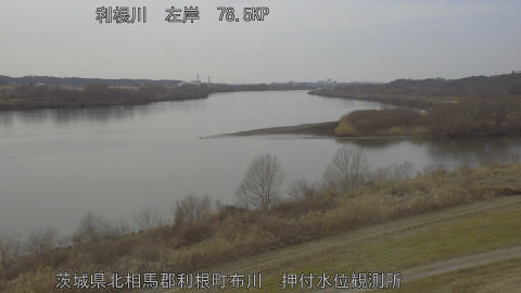 tonos2026020514_image