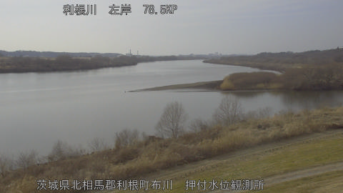 tonos2026020515_image