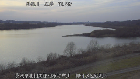 tonos2026020517_image