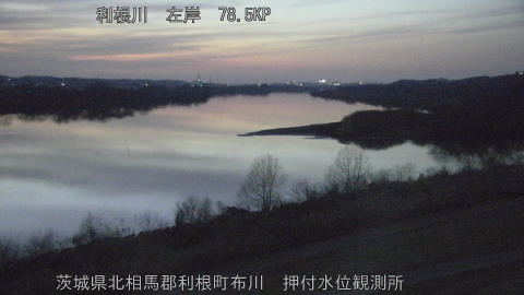 tonos2026020518_image