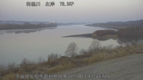 tonos2026020607_image