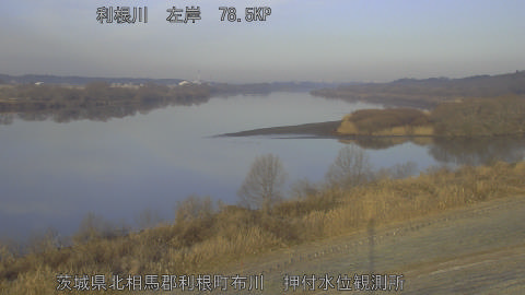 tonos2026020608_image