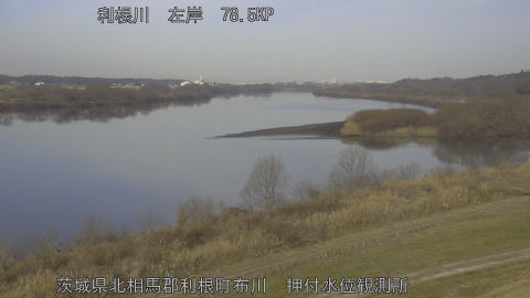 tonos2026020609_image