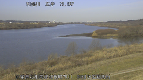 tonos2026020610_image