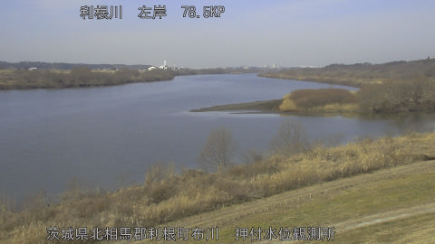 tonos2026020611_image