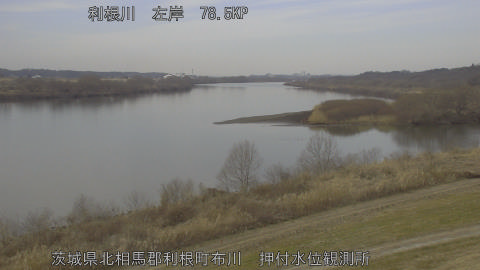 tonos2026020612_image