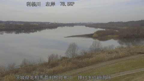 tonos2026020613_image