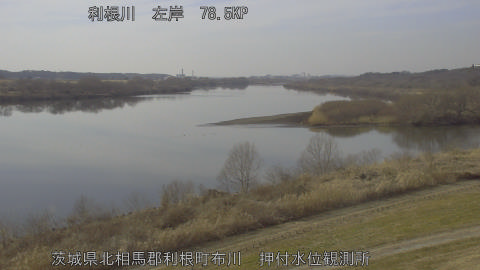 tonos2026020614_image