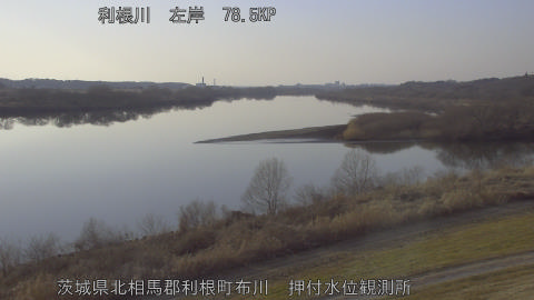 tonos2026020616_image