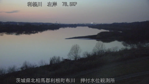 tonos2026020618_image