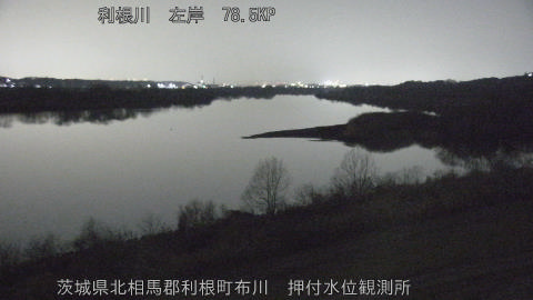 tonos2026020619_image