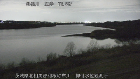 tonos2026020622_image