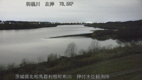 tonos2026020704_image