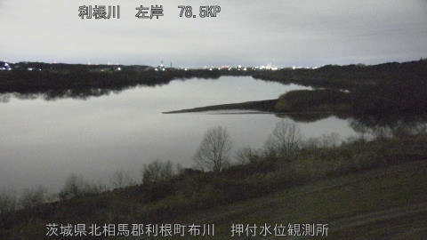 tonos2026020705_image