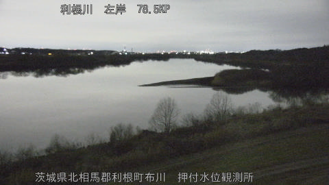 tonos2026020706_image