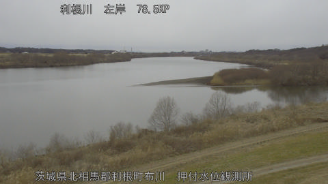 tonos2026020709_image