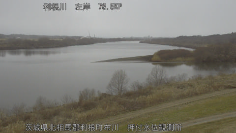 tonos2026020710_image