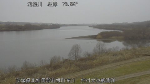 tonos2026020711_image