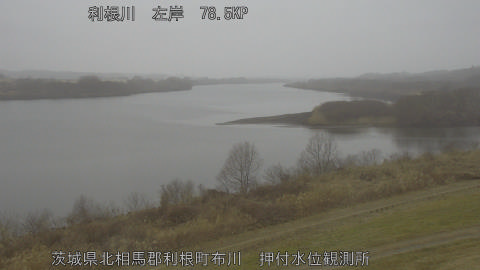 tonos2026020712_image