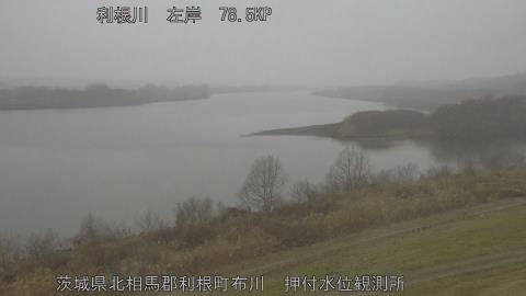 tonos2026020713_image