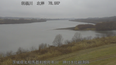 tonos2026020715_image