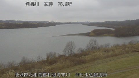 tonos2026020716_image