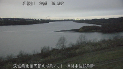 tonos2026020718_image