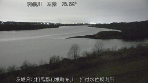 tonos2026020719_image