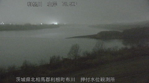 tonos2026020723_image