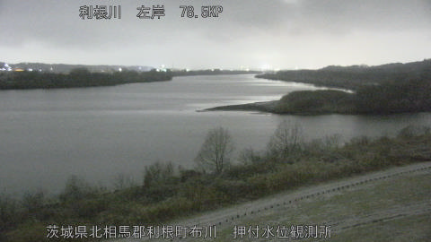 tonos2026020800_image