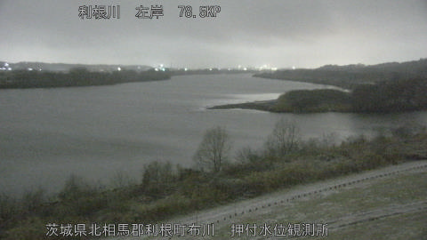 tonos2026020801_image