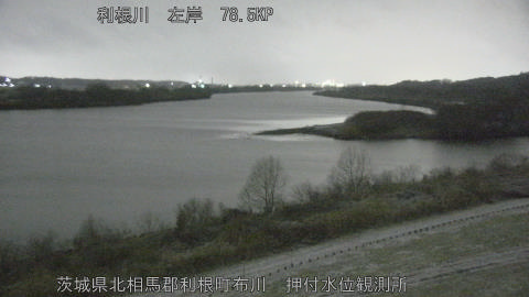 tonos2026020802_image