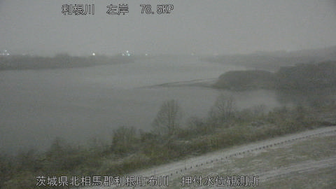 tonos2026020803_image