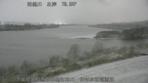 tonos2026020805_image