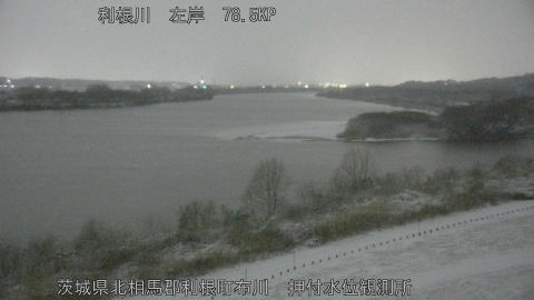 tonos2026020806_image