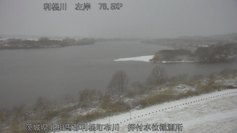 tonos2026020807_image