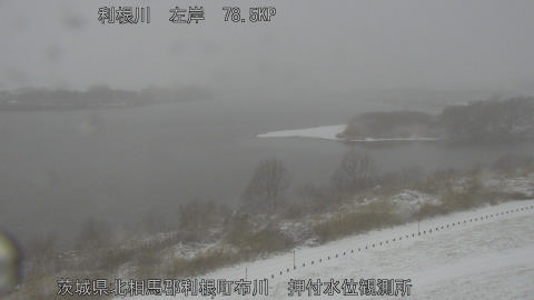 tonos2026020808_image