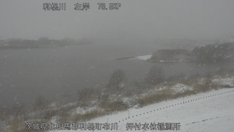 tonos2026020812_image