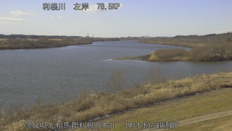 tonos2026020914_image