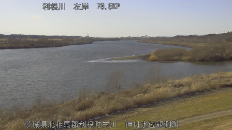 tonos2026020915_image