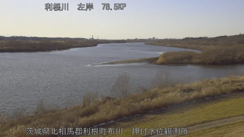 tonos2026020916_image